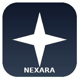Nexara/Nation AI — 1 Tahun